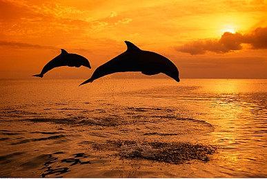 国产《沙石镇时光》冬促平史低 新版本”回家的诱惑“上线